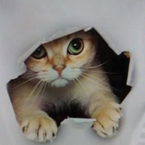 Meet your Posher, Rhonda